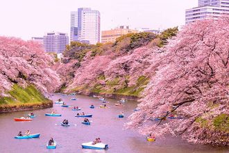 Viaggio a Tokyo