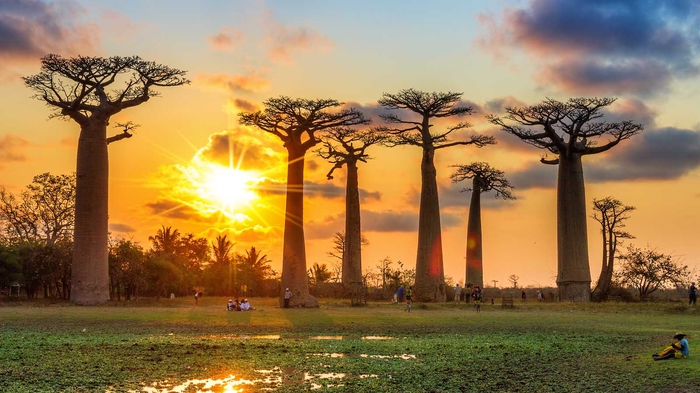Vacanze in Madagascar