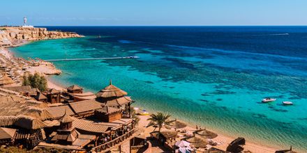 Vacanza ALL INCLUSIVE a Sharm El Sheik